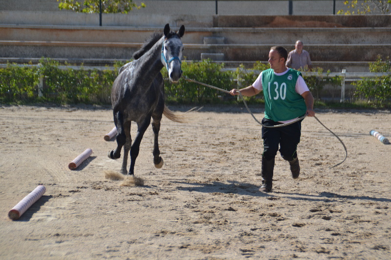 Caceres 080.jpg