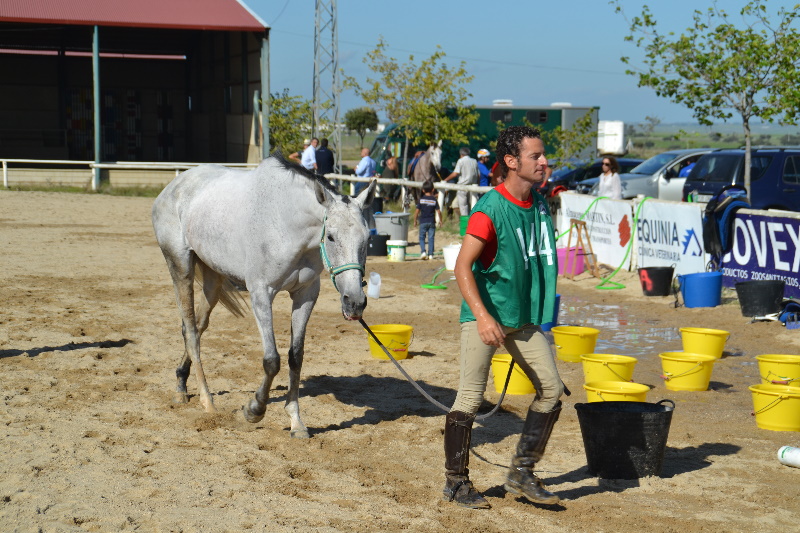 Caceres 098.jpg