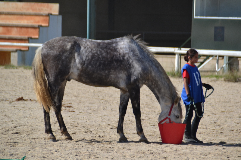 Caceres 148.jpg