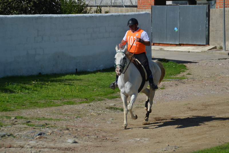 Caceres 167.jpg