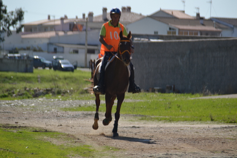 Caceres 183.jpg