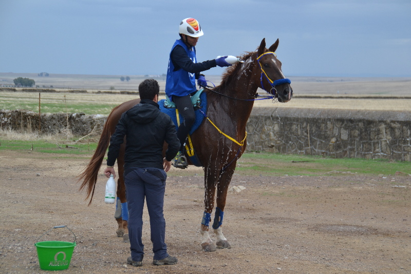 Caceres 051.jpg