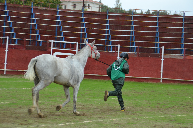 Caceres 182.jpg