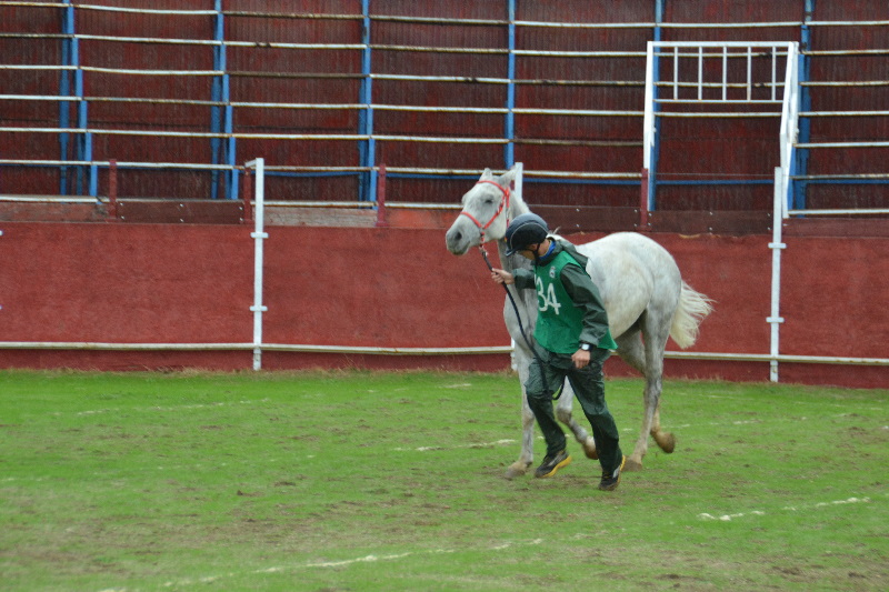 Caceres 183.jpg