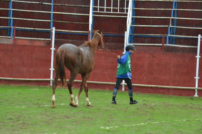 Caceres 187.jpg