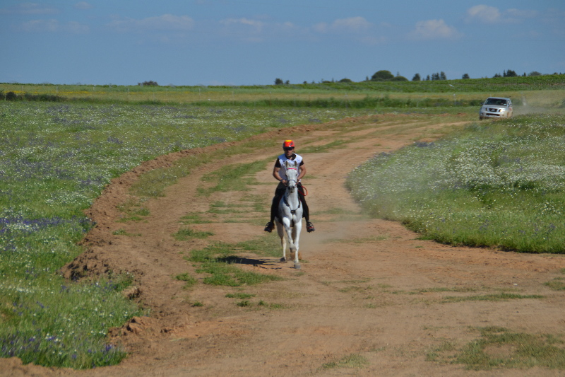 Badajoz 180.jpg