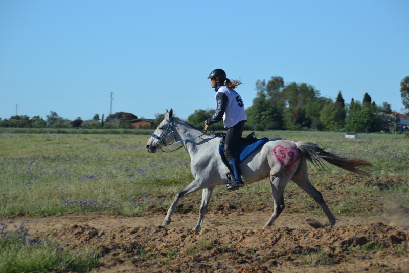 Badajoz 323.jpg